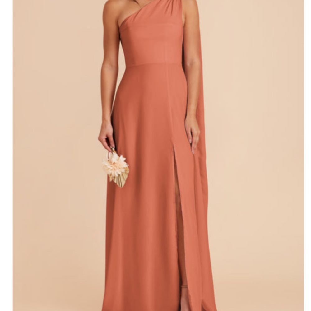 Birdy Grey Melissa Dress Terracotta
